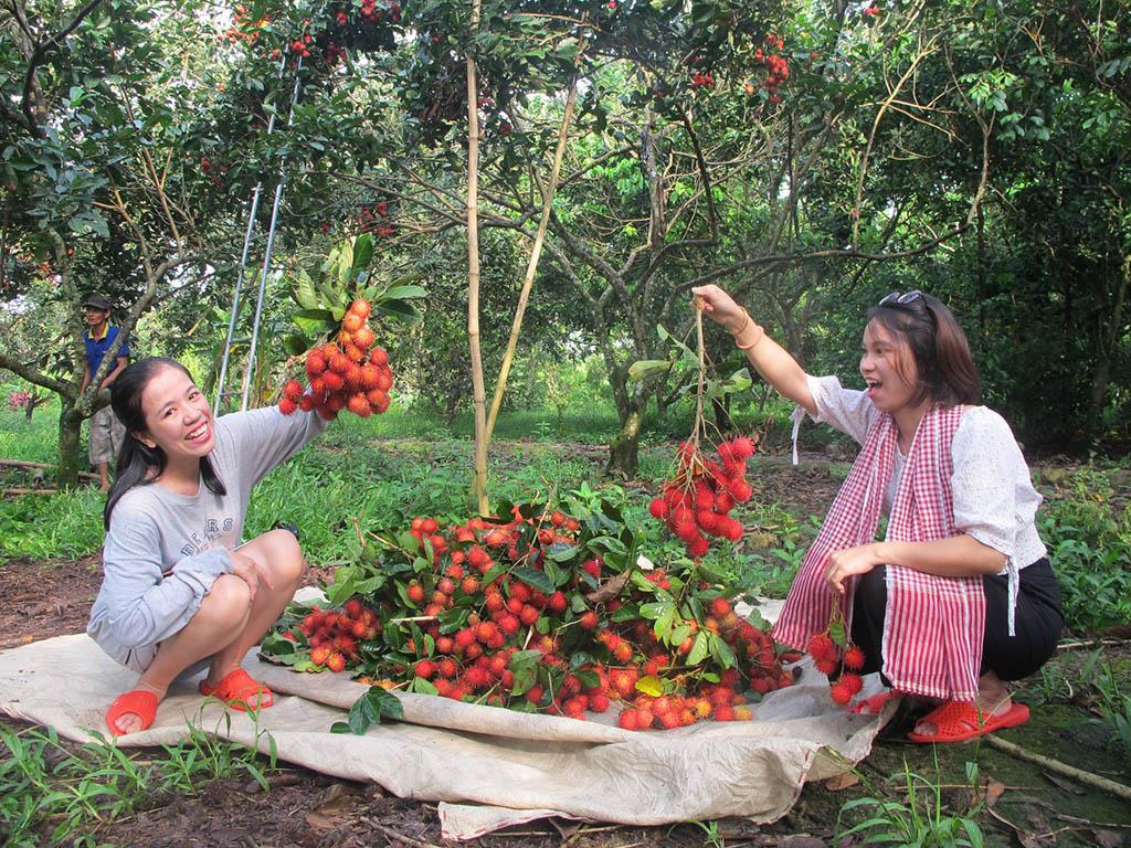 Kinh nghiệm du lịch Bến Tre