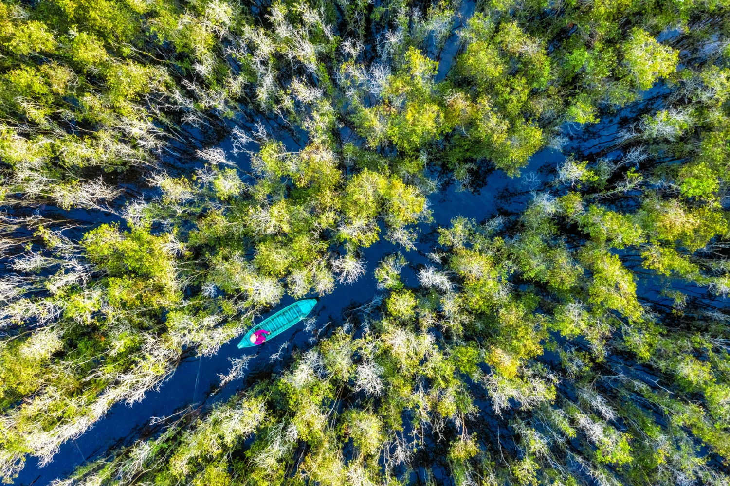 Thuê Xe Cần Thơ Đi Vườn Quốc Gia Tràm Chim Giá Tốt, Xe Đời Mới