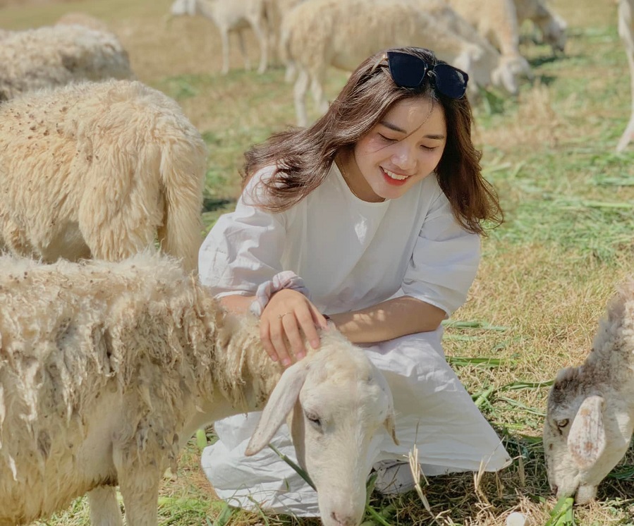 Báo Giá Xe 16 Chỗ Solati Cần Thơ Đi Vũng Tàu 3 Ngày 2 Đêm