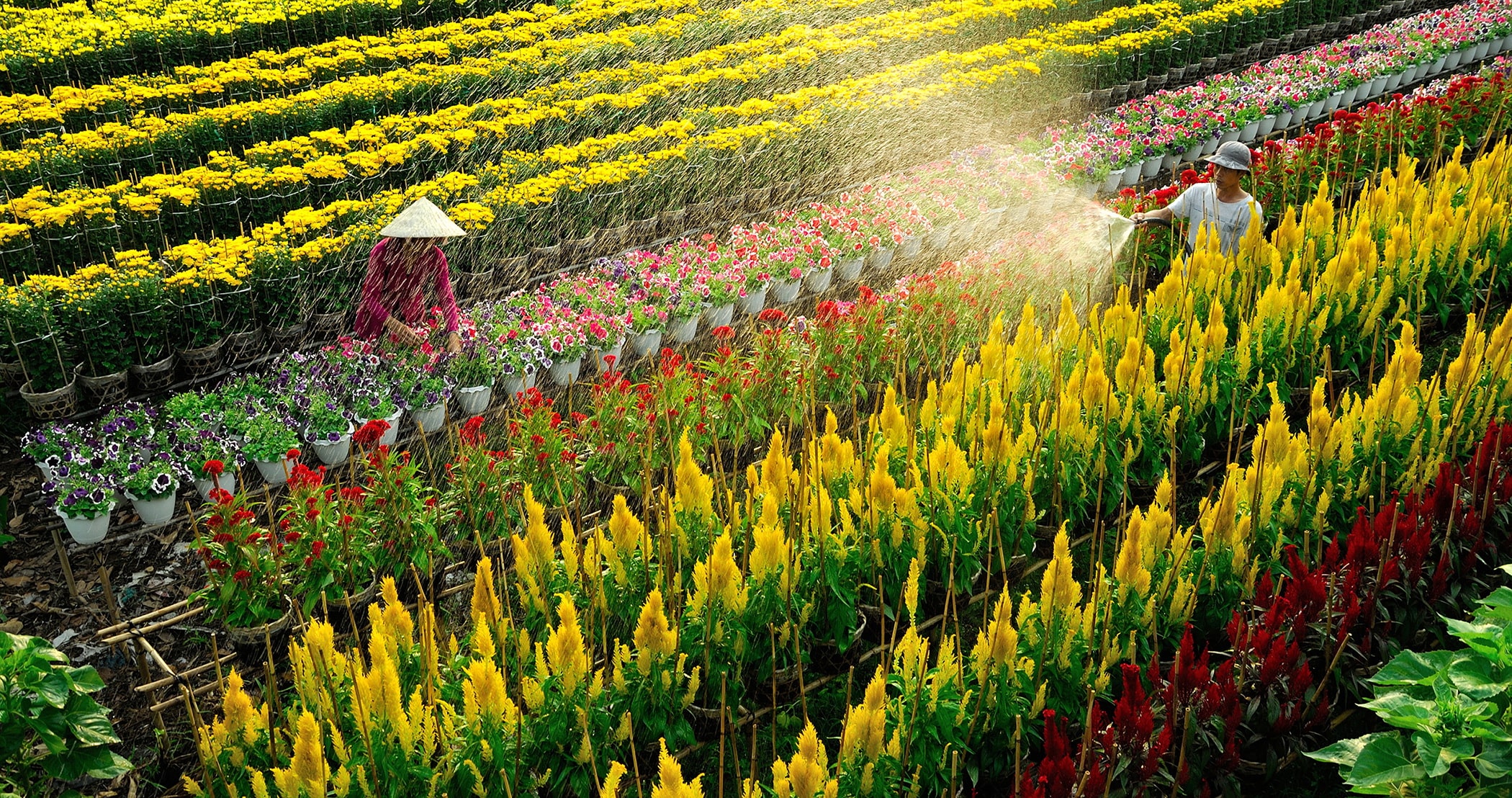 10 Địa Điểm Du Ngoạn Miền Tây Dịp Tết Nguyên Đán Đẹp Nhất