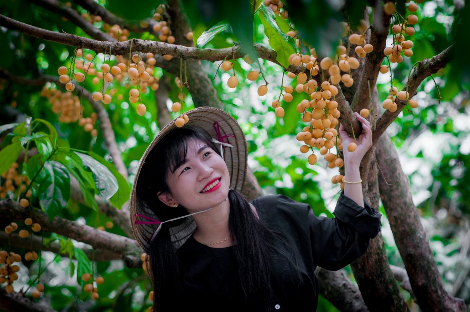 Thuê Xe Đi Cái Bè Tiền Giang Giá Rẻ, Nhiều Ưu Đãi  